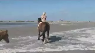 تايوانية دراجة سراويل