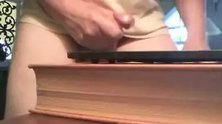 الهرة الأكل نائب الرئيس بالفرشاة