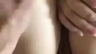 في احسن الاحوال سعيد الحظ الوحش الديك