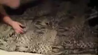 سحاق هاردكور: جنس على الطاولة باستخدام القضيب الاصطناعي