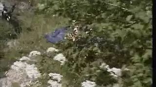 سكس اية58wzmi599nzu