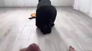 زوجة الاب الممحونه والابن الجامعي