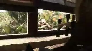 ادخال القضيب ببطأأء